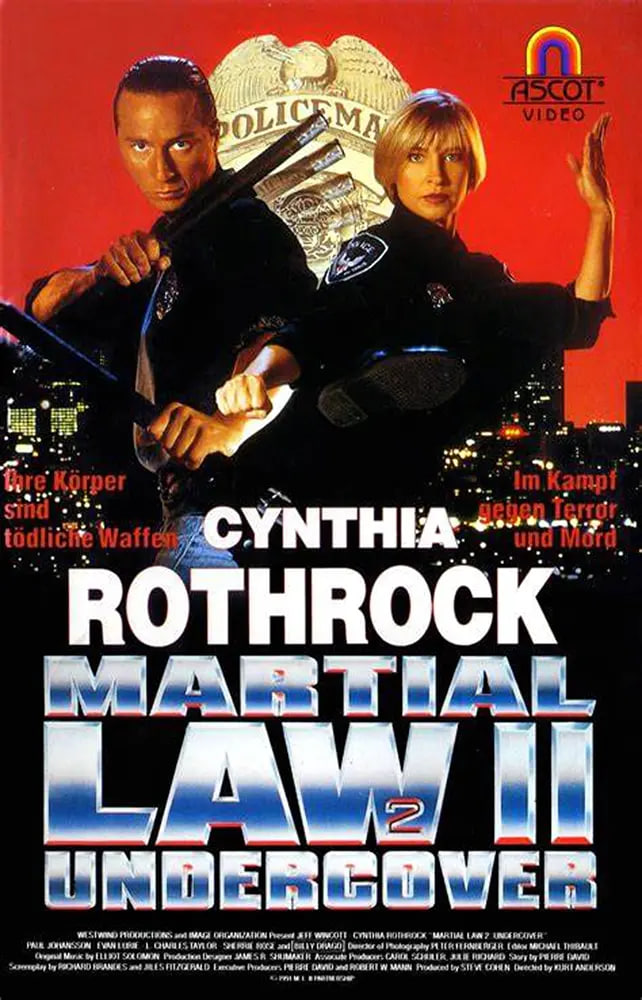 卧底飞龙2 Martial Law II_ Undercover